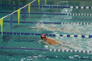 九游娱乐app官网-“2025世界游泳锦标赛：水上芭蕾展现不一样的艺术魅力”  第3张