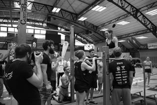 九游体育官网入口-“2025世界游泳锦标赛：水上芭蕾精彩纷呈，艺术之美与竞技并行”  第1张